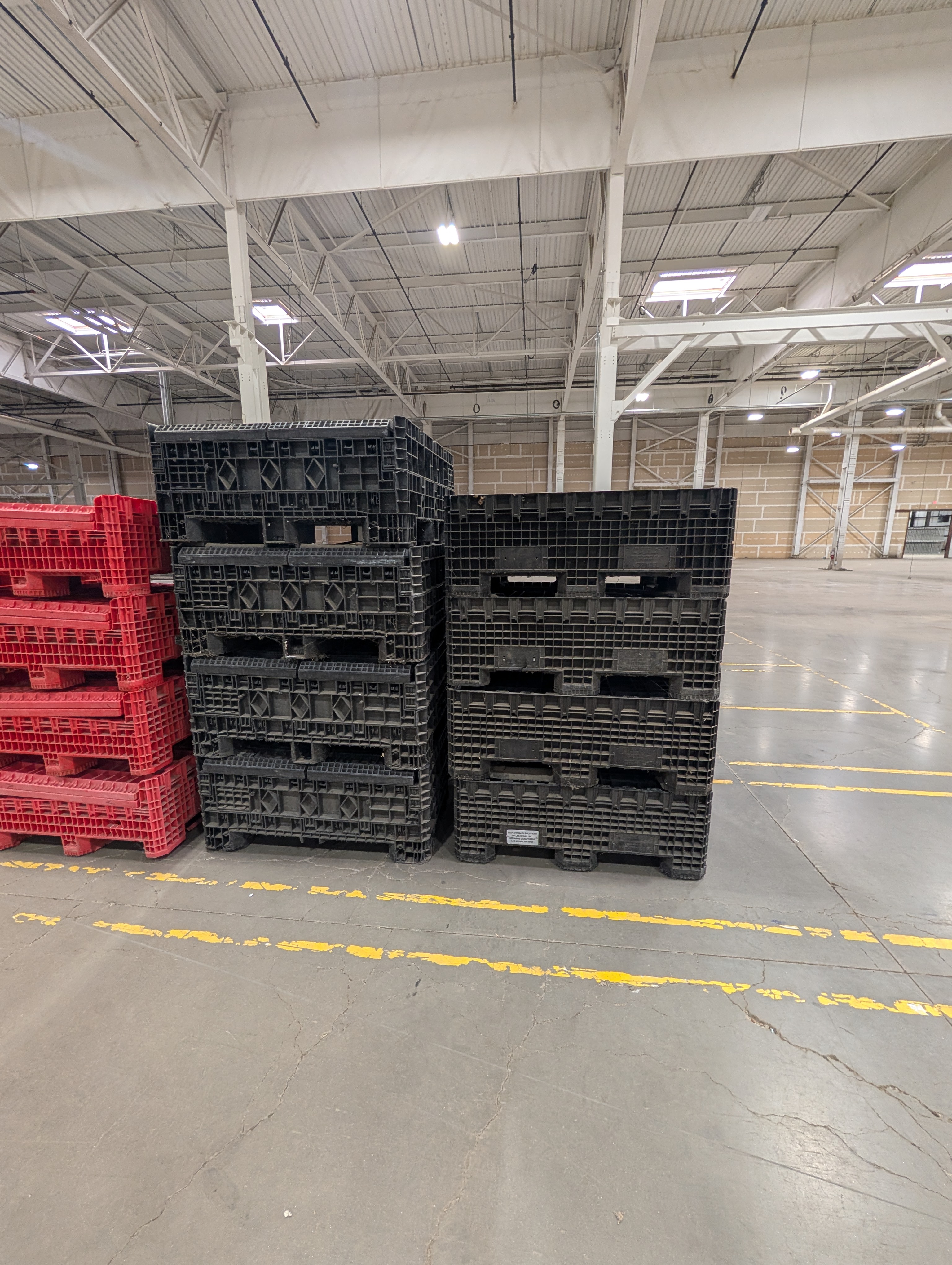 ORBIS Black Plastic Bulk Container
